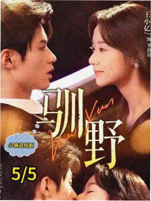 爱韩剧网一韩剧铺条目封面 逆光而行的她
